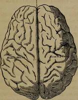 An illustration from Vital resources; (1869)