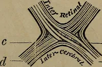 Picture 6 of 15 from Vital resources; (1869), leaf 62