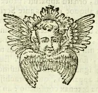 An illustration from Vita mirabilis et mors pretiosa venerabilis sororis Rosae de S. Maria Limensis ex Tertio ordine S.P. Dominici : ad sanctissimum D.N. Alexandrum VII. Pontificem Max (1664)