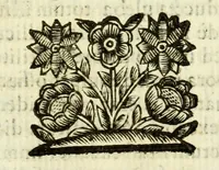 An illustration from Vita mirabilis et mors pretiosa venerabilis sororis Rosae de S. Maria Limensis ex Tertio ordine S.P. Dominici : ad sanctissimum D.N. Alexandrum VII. Pontificem Max (1664)