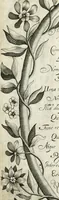 Picture 15 of 98 from Vita post vitam (1662), leaf 13
