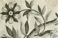 Picture 17 of 98 from Vita post vitam (1662), leaf 14