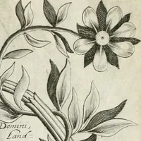 Picture 18 of 98 from Vita post vitam (1662), leaf 14