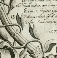 Picture 19 of 98 from Vita post vitam (1662), leaf 14