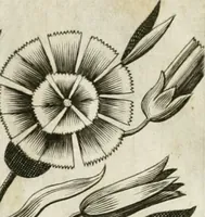 Picture 25 of 98 from Vita post vitam (1662), leaf 17