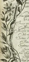Picture 26 of 98 from Vita post vitam (1662), leaf 17