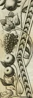 An illustration from Vita post vitam (1662)