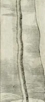 Picture 33 of 98 from Vita post vitam (1662), leaf 22