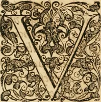 Picture 87 of 98 from Vita post vitam (1662), leaf 587