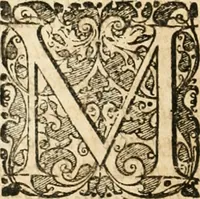 Picture 88 of 98 from Vita post vitam (1662), leaf 629