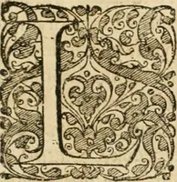 An illustration from Vita post vitam (1662)