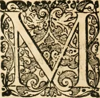 Picture 96 of 98 from Vita post vitam (1662), leaf 711