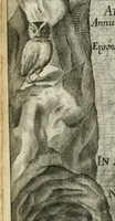Picture 9 of 98 from Vita post vitam (1662), leaf 9