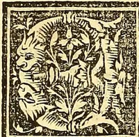 Picture 8 of 10 from Vitas patrum. : Libro de las vidas de los sanctos padres del yermo: segun lo escrinio el glorioso Hieronimo: nueuamente corregido y emendado (1553), leaf 229