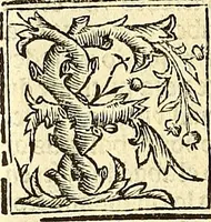 Picture 9 of 10 from Vitas patrum. : Libro de las vidas de los sanctos padres del yermo: segun lo escrinio el glorioso Hieronimo: nueuamente corregido y emendado (1553), leaf 355