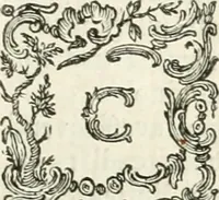 Picture 20 of 20 from Vite dei più celebri architetti, e scultori veneziani che fiorirono nel secolo decimosesto (1778), leaf 538