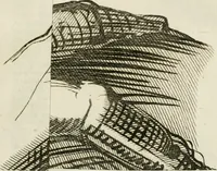An illustration from Vite de' più eccellenti pittori, scultori e architetti (1791)