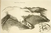 An illustration from Vite de' più eccellenti pittori, scultori e architetti (1791)
