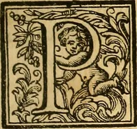 Picture 26 of 58 from Vite de' pittore, scultori, ed architetti perugini : scritte, e dedicate alla maestà di Carlo Emanuel, re di Sardegna (1732), leaf 170