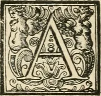 An illustration from Vite de' pittori, scultori, ed architetti perugini : scritte, e dedicate alla maesta' di Carlo Emanuel, re di Sardegna (1732)