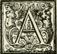 An illustration from Vite de' pittori, scultori, ed architetti perugini : scritte, e dedicate alla maesta' di Carlo Emanuel, re di Sardegna (1732)
