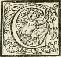 An illustration from Vite de' pittori, scultori, ed architetti perugini : scritte, e dedicate alla maesta' di Carlo Emanuel, re di Sardegna (1732)