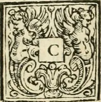 An illustration from Vite de' pittori, scultori, ed architetti perugini : scritte, e dedicate alla maesta' di Carlo Emanuel, re di Sardegna (1732)