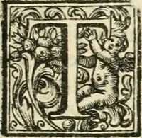 An illustration from Vite de' pittori, scultori, ed architetti perugini : scritte, e dedicate alla maesta' di Carlo Emanuel, re di Sardegna (1732)