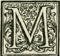 An illustration from Vite de' pittori, scultori, ed architetti perugini : scritte, e dedicate alla maesta' di Carlo Emanuel, re di Sardegna (1732)