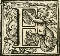 An illustration from Vite de' pittori, scultori, ed architetti perugini : scritte, e dedicate alla maesta' di Carlo Emanuel, re di Sardegna (1732)