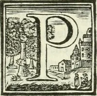 An illustration from Vite de' pittori, scultori ed architetti, che anno lavorato in Roma : morti dal 1641 fino al 1673 (1772)