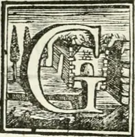Picture 3 of 45 from Vite de' pittori, scultori ed architetti, che anno lavorato in Roma : morti dal 1641 fino al 1673 (1772), leaf 13