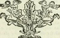 Picture 19 of 45 from Vite de' pittori, scultori ed architetti, che anno lavorato in Roma : morti dal 1641 fino al 1673 (1772), leaf 192