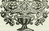 Picture 45 of 45 from Vite de' pittori, scultori ed architetti, che anno lavorato in Roma : morti dal 1641 fino al 1673 (1772), leaf 412