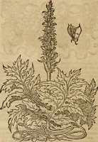 An illustration from Vitruuius, des aller namhafftigisten vnnd hocherfahrnesten, römischen Architecti, vnnd kunstreichen Werck oder Bawmeisters, Marci Vitruuij Pollionis, zehen Bücher von der Architectur vnd künstlichem Bawen ... (1614)