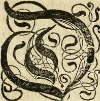 An illustration from Vitruuius, des aller namhafftigisten vnnd hocherfahrnesten, römischen Architecti, vnnd kunstreichen Werck oder Bawmeisters, Marci Vitruuij Pollionis, zehen Bücher von der Architectur vnd künstlichem Bawen ... (1614)