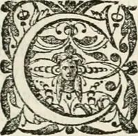 An illustration from M. Vitruvii Pollionis De architectura libri decem (1649)