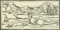 An illustration from M.L. Vitrvuio Pollione De architectura (1524)