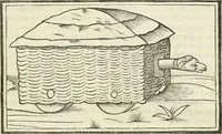 Picture 128 of 129 from M.L. Vitrvuio Pollione De architectura (1524), leaf 262