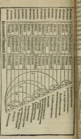An illustration from M. Vitrvvii De architectura libri decem : summa diligentia recogniti atq; excusi : cum nonnullis figuris sub hoc signo * positis, nunq antea impraessis : additis Iulij Frontini De aqueductibus libris, proter materiae affinitatem (1523)