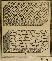 An illustration from M. Vitrvvii De architectura libri decem : summa diligentia recogniti atq; excusi : cum nonnullis figuris sub hoc signo * positis, nunq antea impraessis : additis Iulij Frontini De aqueductibus libris, proter materiae affinitatem (1523)