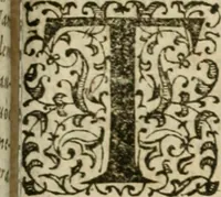 Picture 101 of 172 from M. Vitrvvii Pollionis De architectvra libri decem, ad Caes. Avgvstvm, omnibus omnium editionibus longè emendatiores, collatis veteribus exemplis (1586), leaf 250