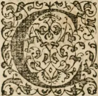 Picture 168 of 172 from M. Vitrvvii Pollionis De architectvra libri decem, ad Caes. Avgvstvm, omnibus omnium editionibus longè emendatiores, collatis veteribus exemplis (1586), leaf 449