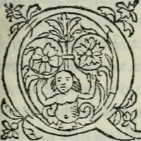 Picture 69 of 136 from Vitrvvivs itervm et Frontinvs (1513), leaf 166