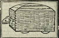 Picture 133 of 136 from Vitrvvivs itervm et Frontinvs (1513), leaf 383