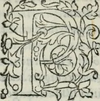 Picture 135 of 136 from Vitrvvivs itervm et Frontinvs (1513), leaf 413