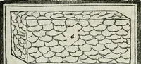 Picture 22 of 136 from Vitrvvivs itervm et Frontinvs (1513), leaf 75