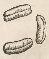 Picture 19 of 43 from Vlyssis Aldrouandi patricii Bononiensis Musaeum metallicum : in libros iiii distributum (1648), leaf 524