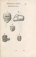 Picture 21 of 43 from Vlyssis Aldrouandi patricii Bononiensis Musaeum metallicum : in libros iiii distributum (1648), leaf 555