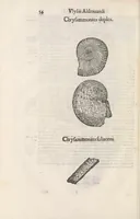Picture 1 of 43 from Vlyssis Aldrouandi patricii Bononiensis Musaeum metallicum : in libros iiii distributum (1648), leaf 68